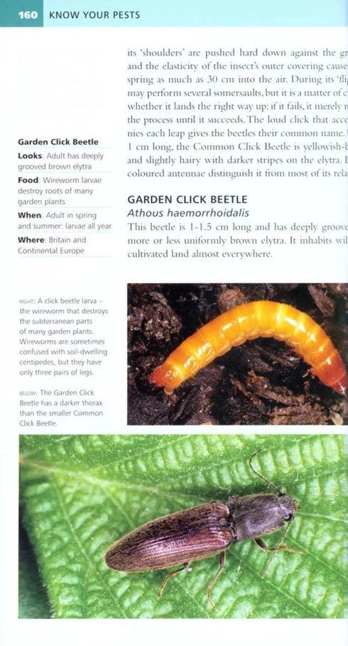 Garden Pests of Brirain & Europe - Michael Chinery 2010